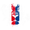 Lion de Lyon. France