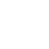 Chess bishop and king