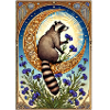 Racoon