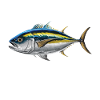 Thunfisch