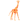 Giraffe Geometric