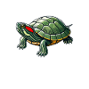 Turtle Red-eared Turtle