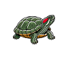 Turtle Red-eared Turtle