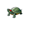 Turtle Red-eared Turtle