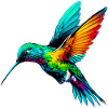 Hummingbird