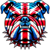 English Bulldog Dog