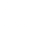 1994 limited edition