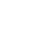 1987 Limited Edition