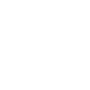 1995 limited edition