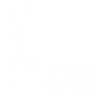 1993 Limited Edition