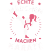 Karate Martial Arts Fighter Karate