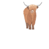 Highland Cow Breeding Pensionsordning