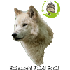 RAIK HWR
