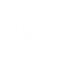 Violin with bow