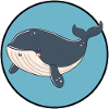 Marine Life Whale Underwater
