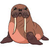 Walrus Sea Animal Manatee