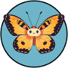Butterfly Spring Butterfly