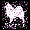 Samoyed with Flowers