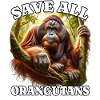 Orangutan