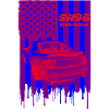 US Car SN95