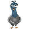 Bernard Le Pigeon