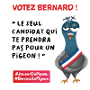 Bernard Le Pigeon President!