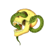 Skull with snake