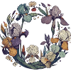 Irises