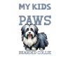 Papa Bearded Collie