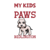 Bedlington Terrier papa