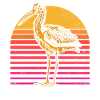 Stork