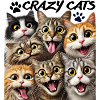 Crazy Cats