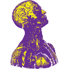 Purple and Yellow Human Anatomy