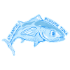 Bluefin tuna