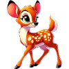 Fawn