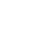 iaido