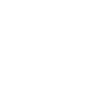 iaido
