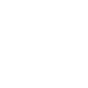 iaido