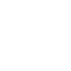 iaido