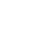 iaido