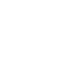 iaido