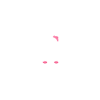 iaido