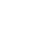 iaido