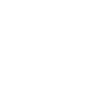 iaido