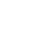 iaido