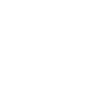 iaido