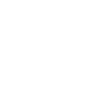 iaido