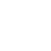 iaido