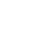 iaido