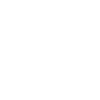 iaido